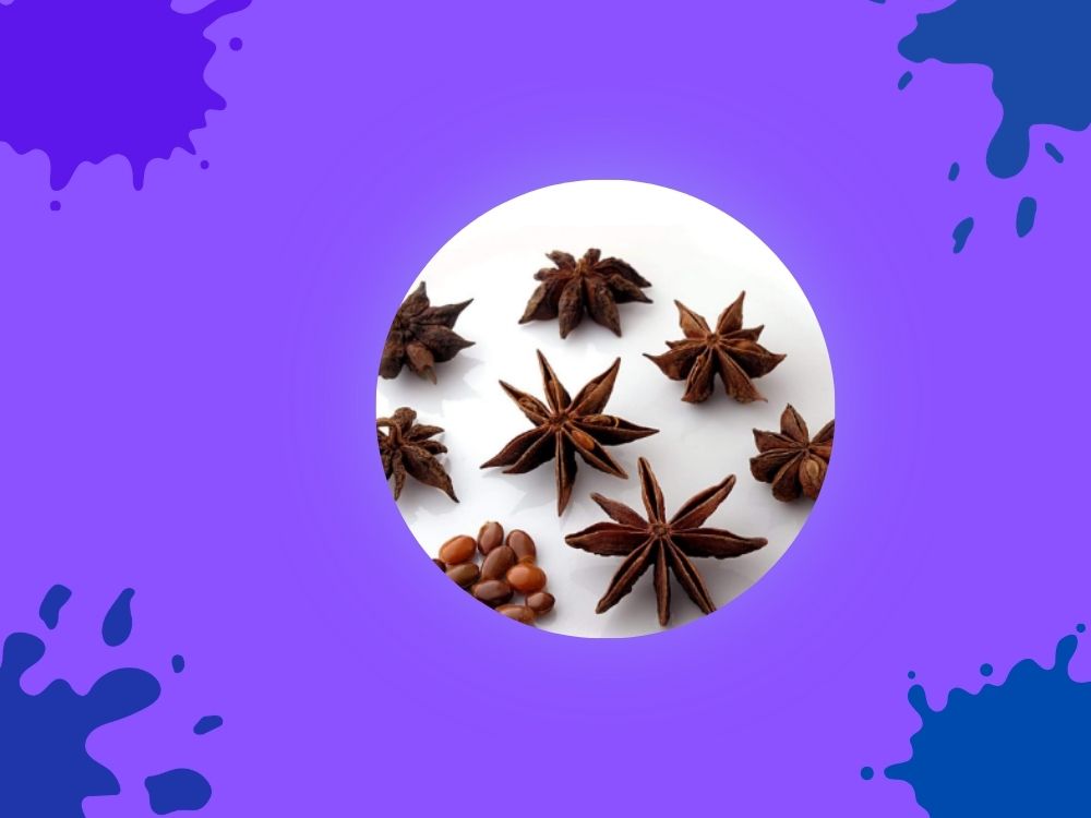 Badian (Fennel Root) and Badian Khatai (Star Anise): A Complete Herbal Guide anise seeds