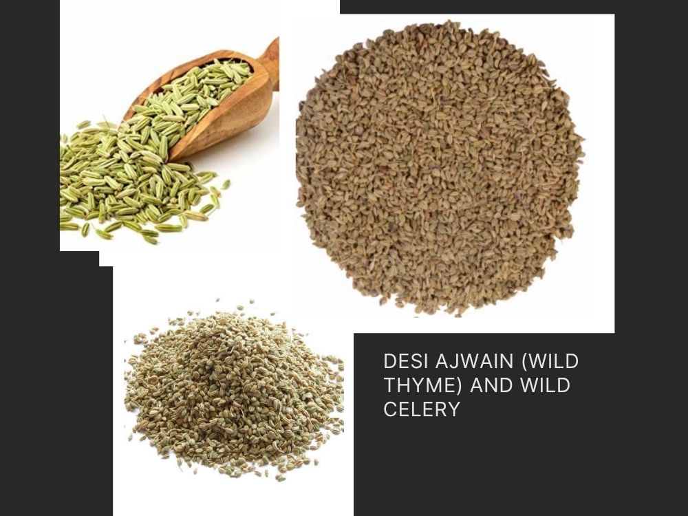 Desi-Ajwain-Wild-Thyme-and-Wild-Celery