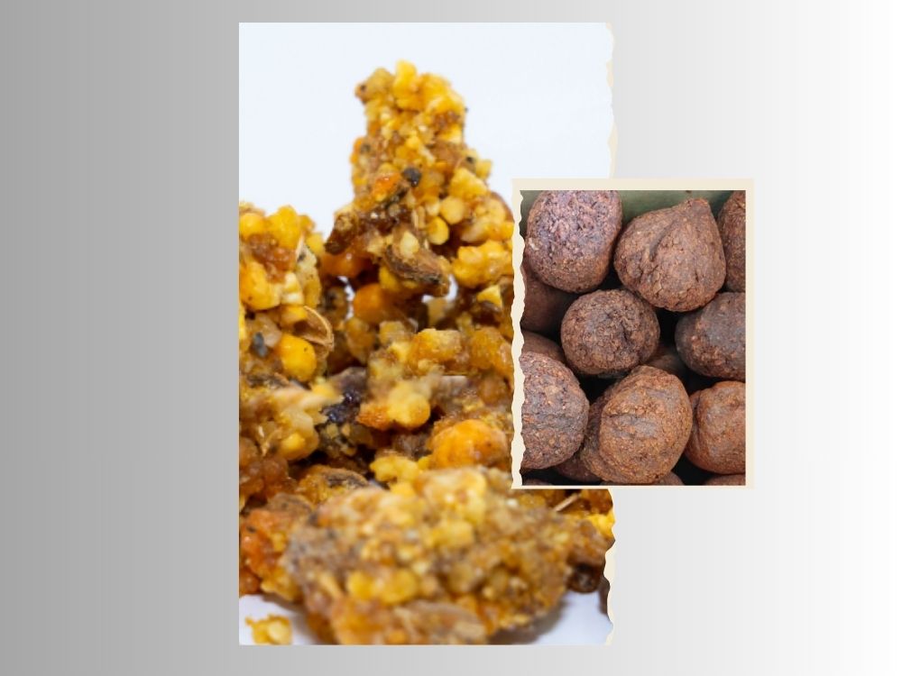 Anzarut (Sarcocolla Gum): A Powerful Traditional Remedy Anzarut (Sarcocolla Gum)