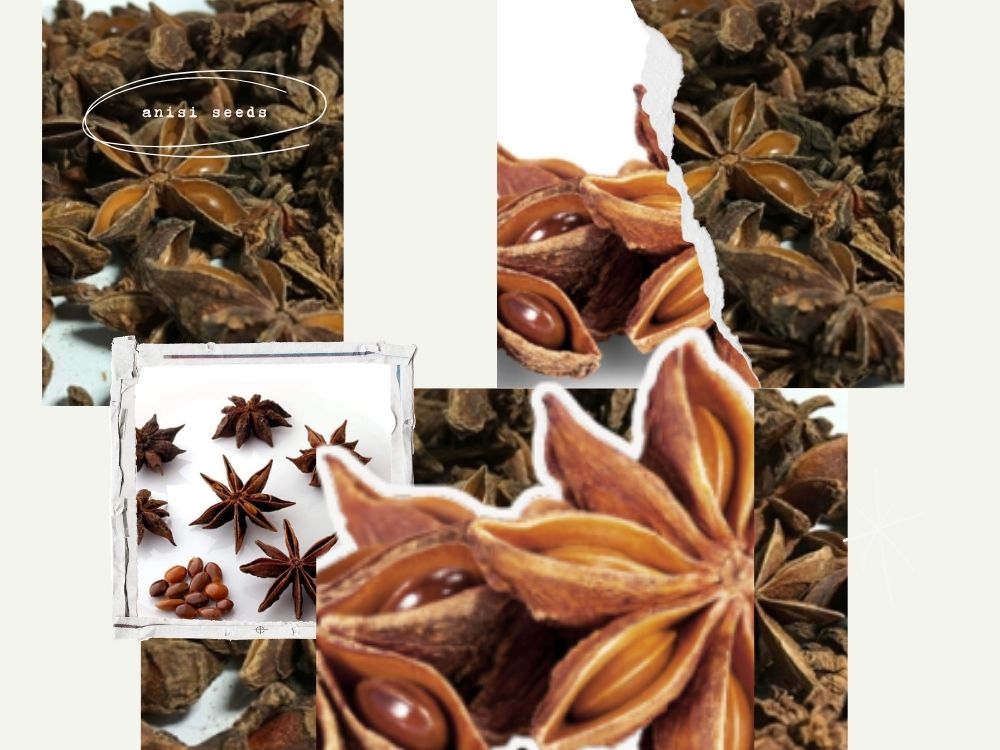 Badian (Fennel Root) and Badian Khatai (Star Anise)