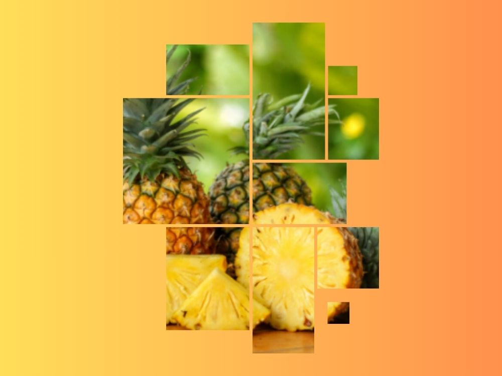 Pineapple (Ananas): Benefits, Properties, and Medicinal Uses ananas sativa
