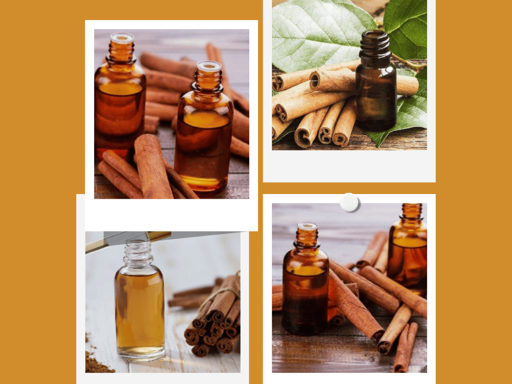 Cinnamon Oil: Composition, Properties, and Uses CINNAMON OIL