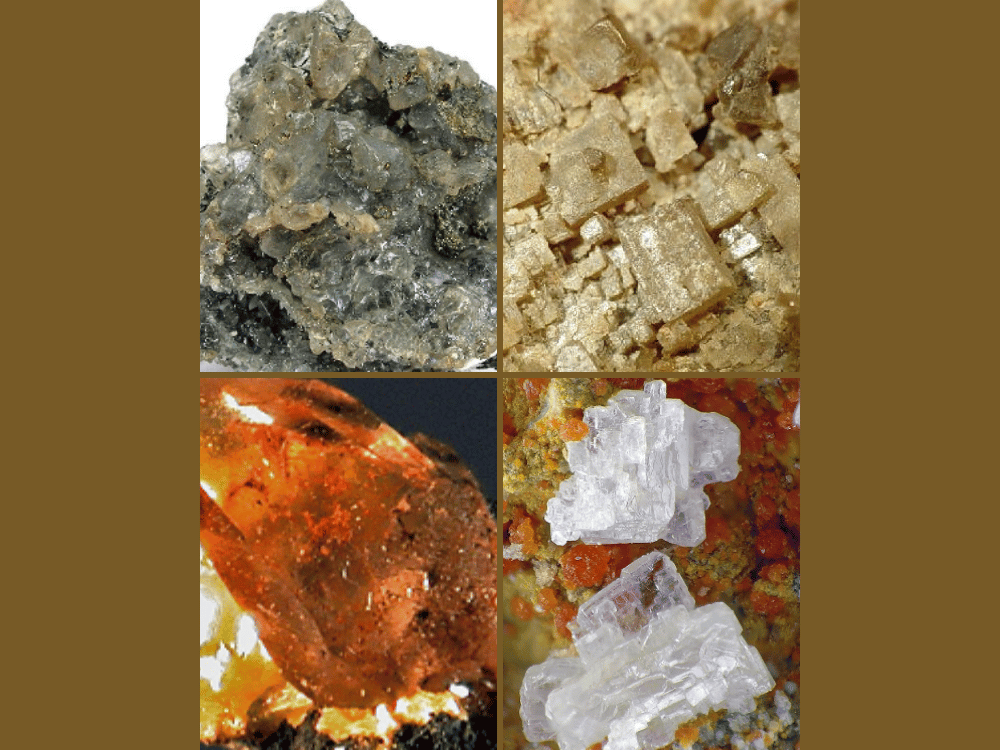 subchloride of mercury calomel
