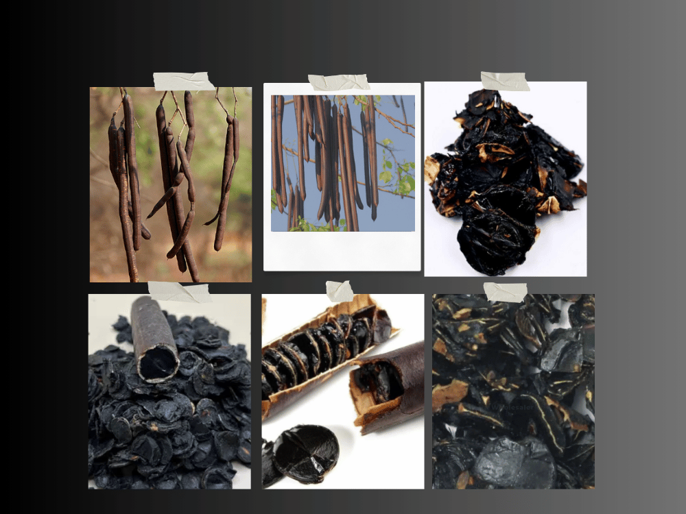 Cassia fistula Pulp (Cassia Pulpa): Properties, Uses, and Medicinal Importance Cassia fistula Pulp (Cassia Pulpa): Properties, Uses, and Medicinal Importance
