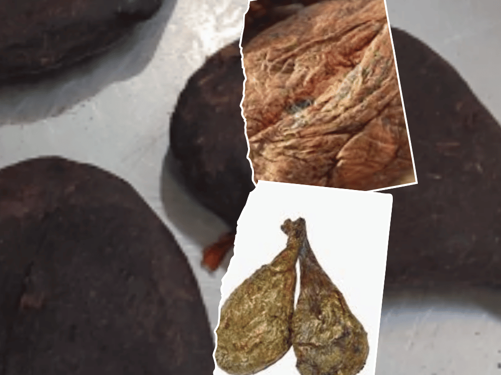 Castoreum castoreum