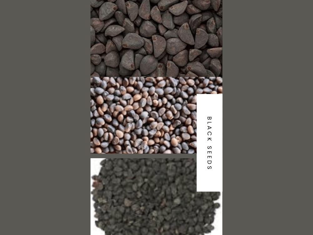 Kaladana (True Black Seed) kaladana black seeds impomoea hederacea