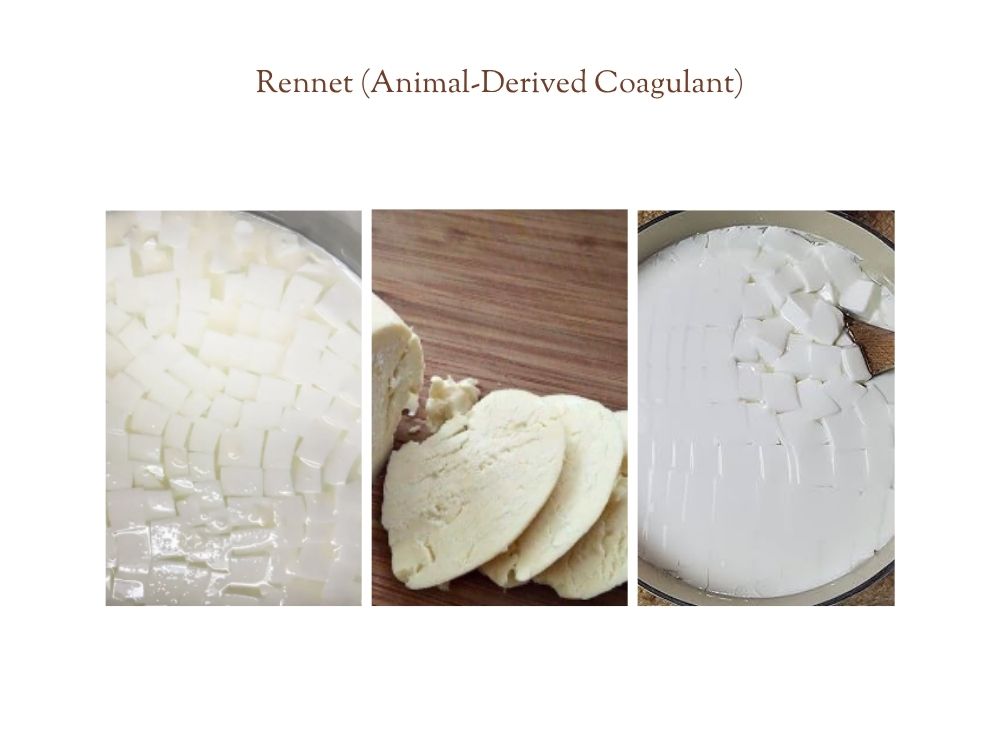 Rennet (Animal-Derived Coagulant) Rennet