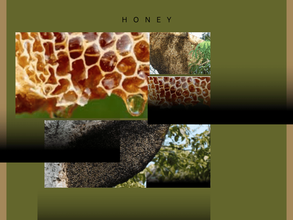 TREATMENT OF HONEY