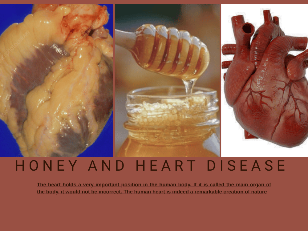 Honey and Heart Disease Importance and Function importance and function of heart disease