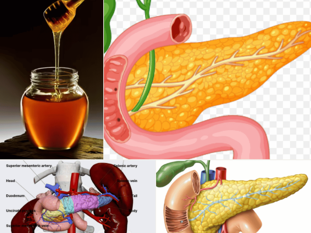 Diabetes Causes, Function, and Symptoms