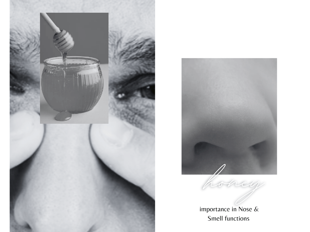Honey importance in Nose & Smell functions Honey importance in Nose & Smell functions