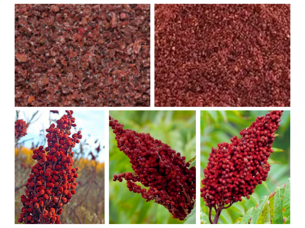Sumac Sumac