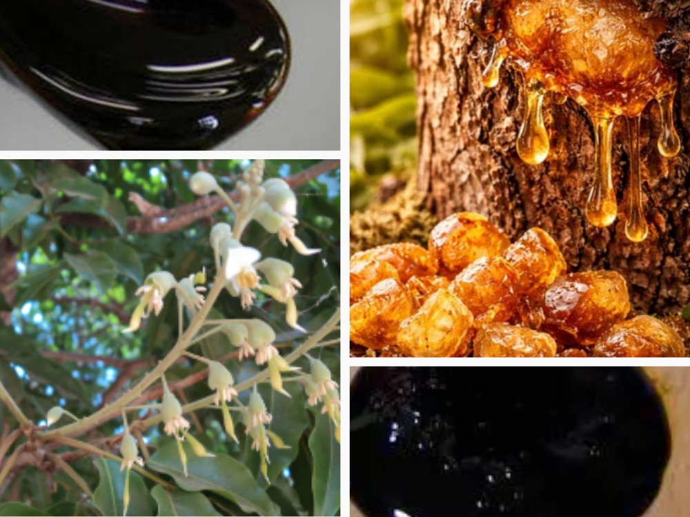 Balsamum Balsam (Balsam) Balsamum Balsam (Balsam)