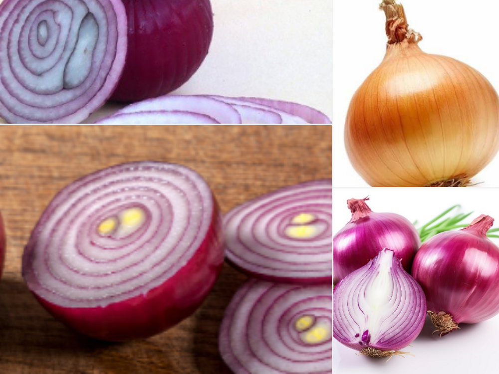 Bulb Onion (Winter Leech) Bulb Onion (Winter Leech)