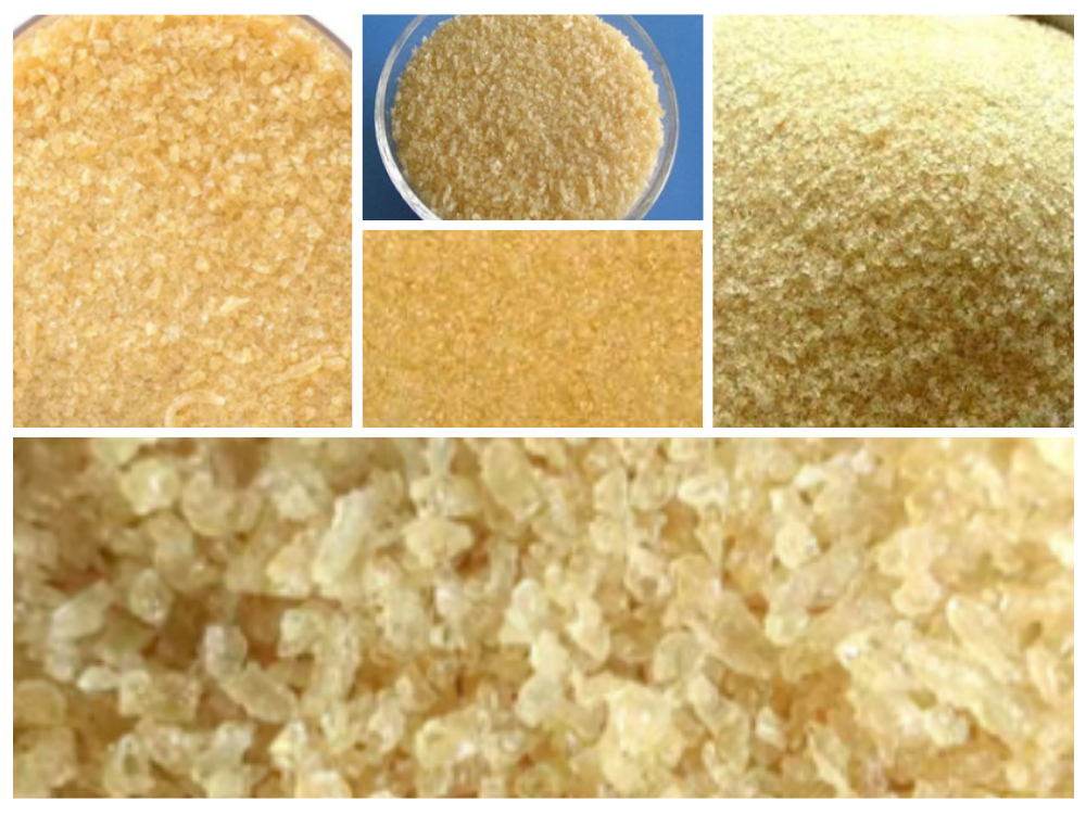 Gelatinum gelatinum