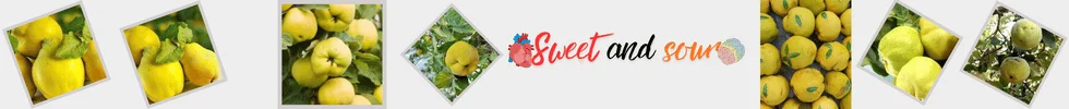 spot_img