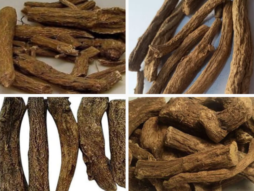 Costus Root (Qist)